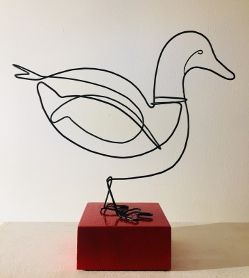 Canard